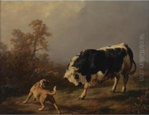Territorial Rivals