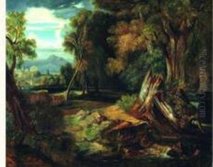 Paysage De Clairiere
