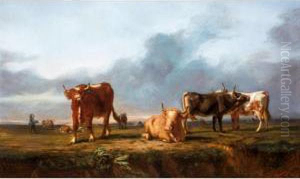 Cattle In A Meadow - view 1