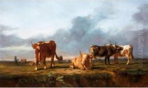 Cattle In A Meadow Cattle In A Meadow