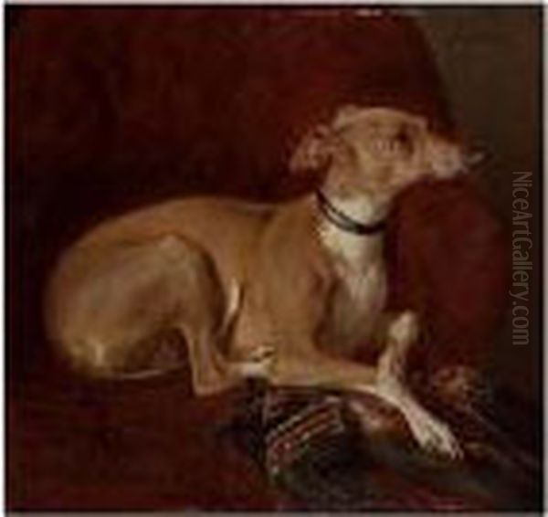 A Greyhound Resting On A Chair - view 1