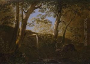 Hisch Im Wald An Gewasser by Wenzel Ignaz Prasch