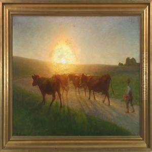 Cows Are Brought Home At
Sunset Cows Are Brought Home At
Sunset