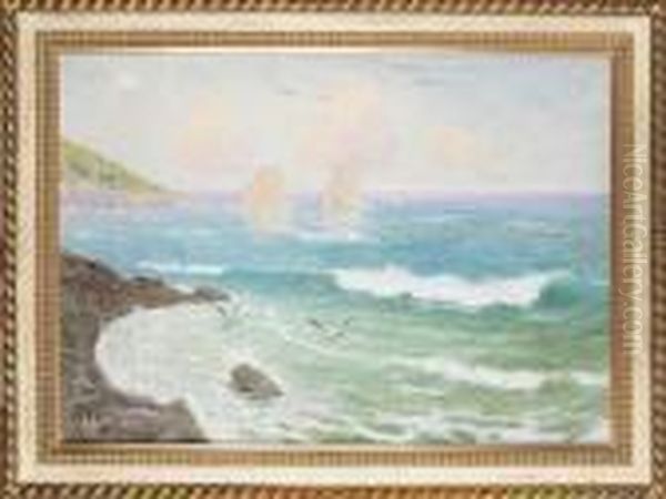 Wybrzeze Capri - view 1