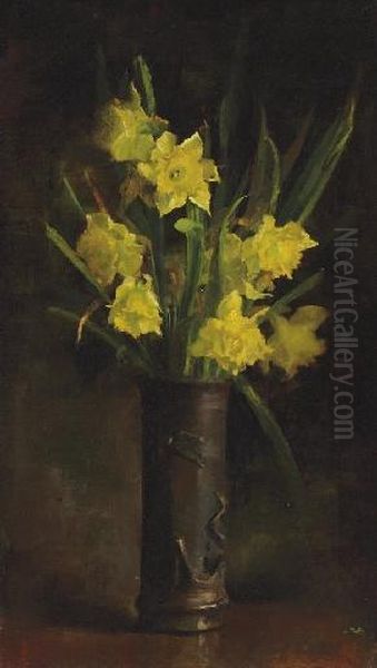 Daffodils - view 1