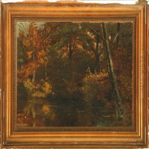 Autumn Forest