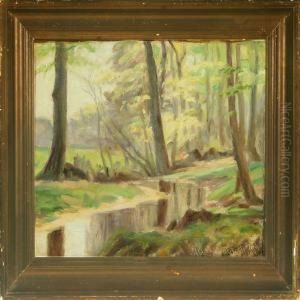 Piece Of Woodland With River Piece Of Woodland With River