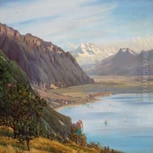 Udsigt Fra Glion I Schweitz Med Dens Du Midi I Baggrunden