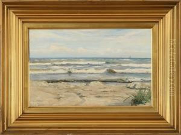 A Coastal Scenery - view 1