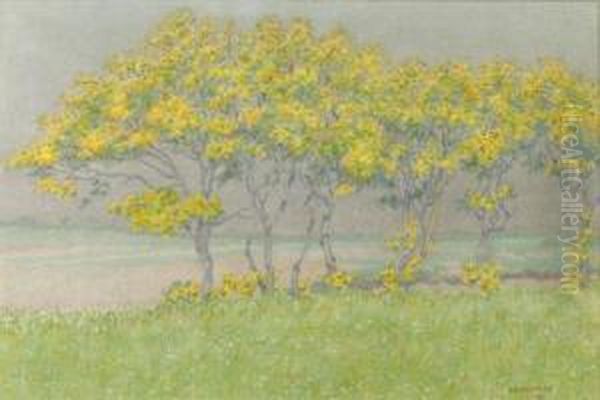 Landscape In 't Gooi - view 1