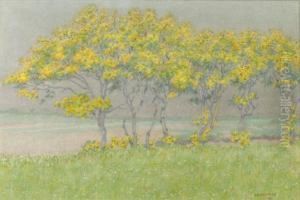 Landscape In 't Gooi by Co Breman