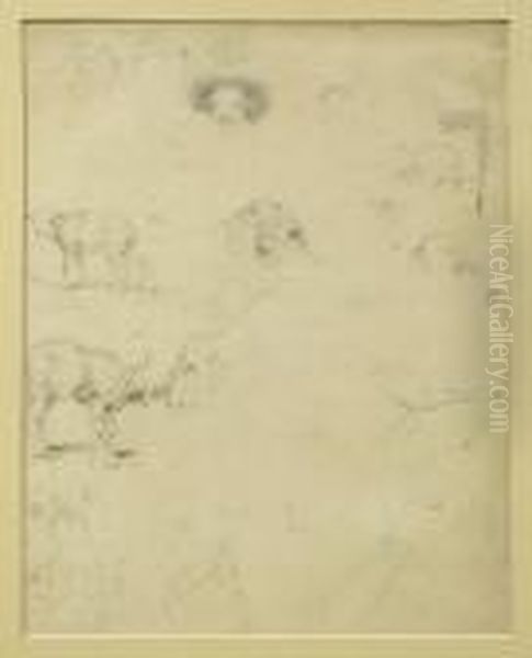 Heinrich - view 1