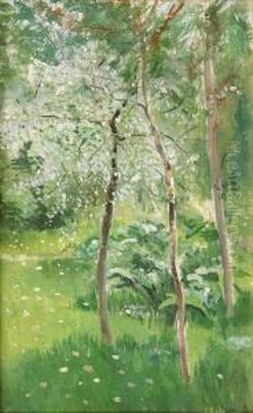 A Forest Clearing - view 1