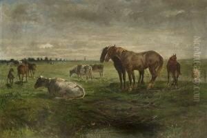 Kuhe, Pferde Und Ein Schaf Auf Der
Weide. Kuhe, Pferde Und Ein Schaf Auf Der
Weide.