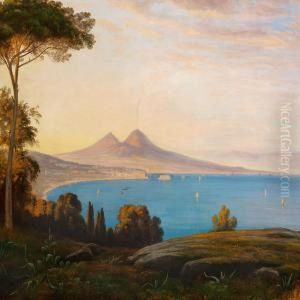 View Of The Bay Ofnaples And Mount Vesuvius