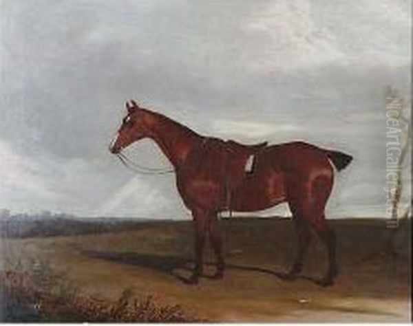 Chestnut Hunter Before A Landscape - view 1
