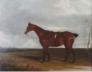 Chestnut Hunter Before A Landscape