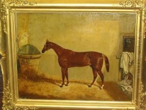 'daniel O'rourke' - A Chestnut Race Horse