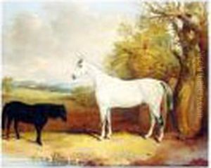 The Baron, A Dapple Grey Hunter, With Tom Thumb, A Black Pony, In A Field