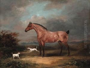 A Roan Horse And Dogs In A Landscape A Roan Horse And Dogs In A Landscape