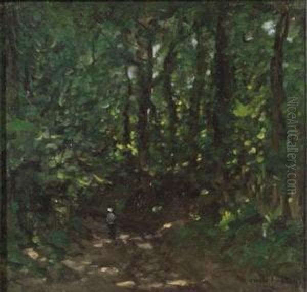 Woodland Path - view 1