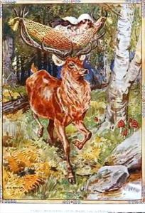 The Stag with the Silken Hammock