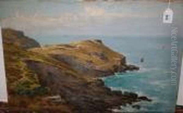 Rocky Coastal View - view 1