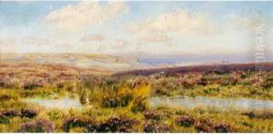 Sketch Of Fylingdales Moor