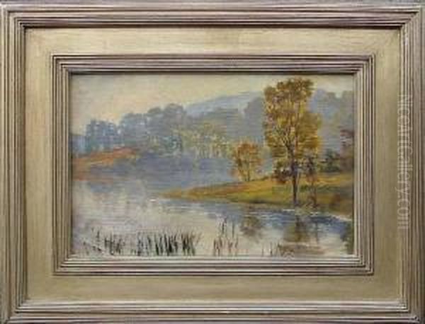 Scene With Trees - view 1