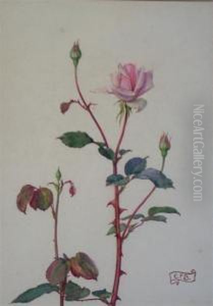 A Rose And Her Three Daughters - view 1