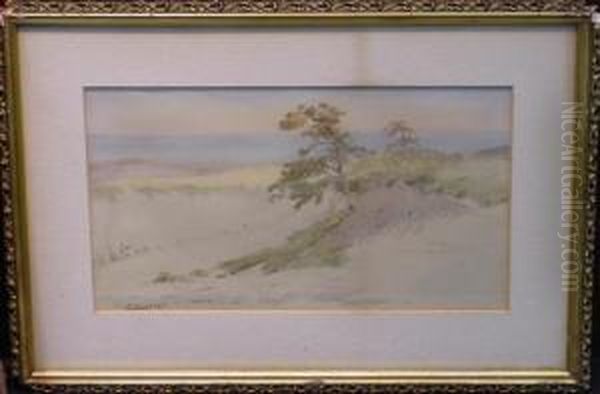 Coastal Dunes - view 1