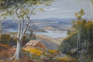 View Of Sydney Cove Looking North