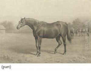 Rising Falcon; Dutch Oven; And Windermere