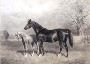 The Racehorse Kermesse And Foal