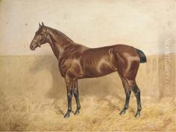 Polly, A Bay Horse In A Stable - view 1