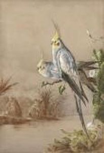 Cockatiels By A River With A Native Encampment Beyond Cockatiels By A River With A Native Encampment Beyond