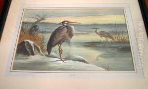 Grey Herons In A Winter Landscape