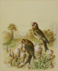 A Pair Of Goldfinchesin A Landscape A Pair Of Goldfinchesin A Landscape