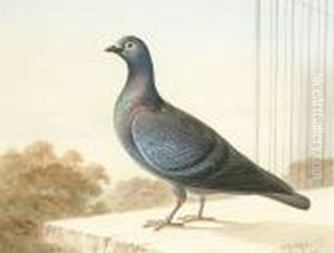 W. Mudies Champion by Harry Bright