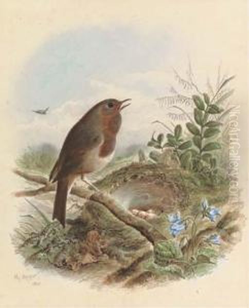 Guarding The Nest - view 1