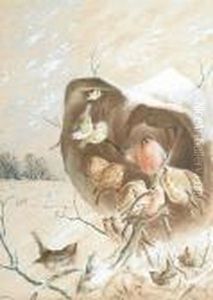 Garden Birds Taking Refuge From The Snow Garden Birds Taking Refuge From The Snow