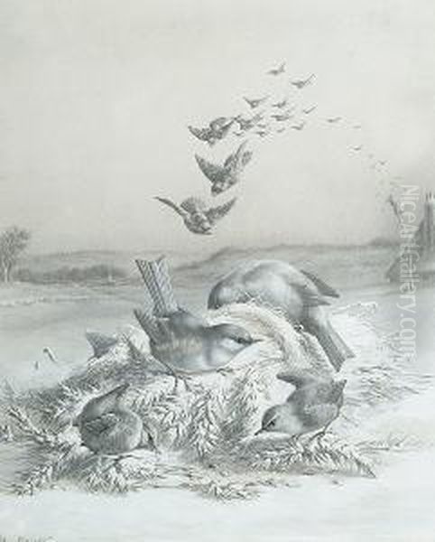 A Winter's Day - view 1