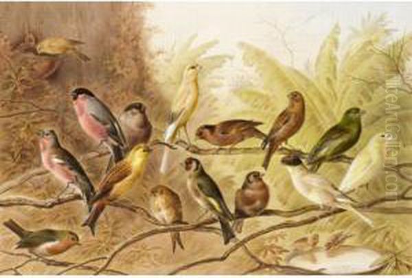 The Aviary - view 1