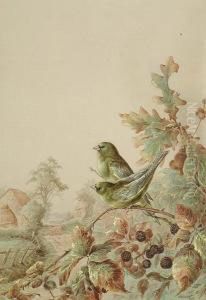 Greenfinches On A Bramblebush Greenfinches On A Bramblebush