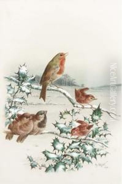 Finches; And Robins - view 1