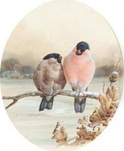 Bullfinches On A Winter's Day by Harry Bright