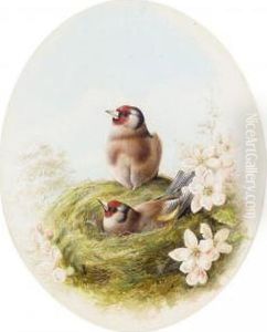 Goldfinches Goldfinches