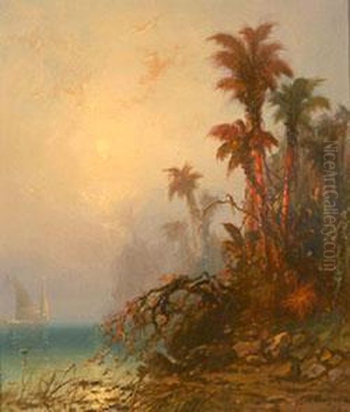 In The Tropics - view 1