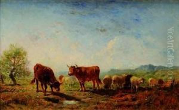 Troupeau De Vaches Et Moutons - view 1