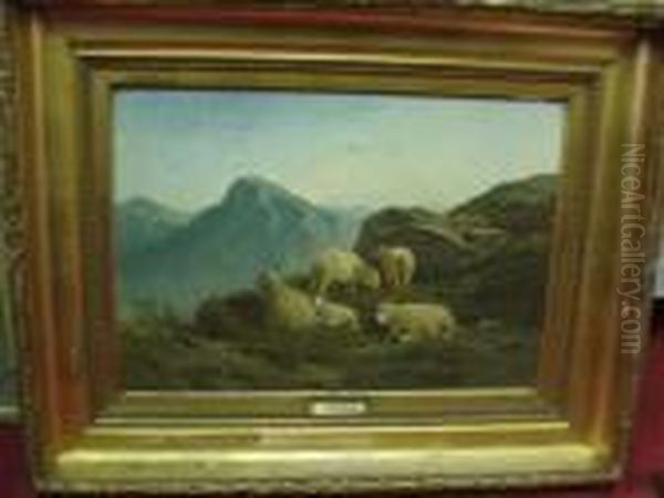Troupeau De Moutons - view 1